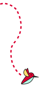 coibri-wiri-wiri-app-mali-senegal